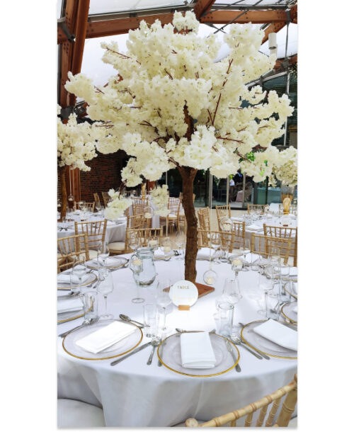 Cherry Blossom Trees - Ivory / White