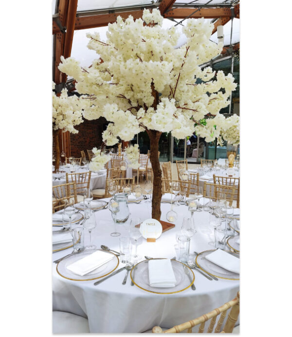 Cherry Blossom Trees - Ivory / White