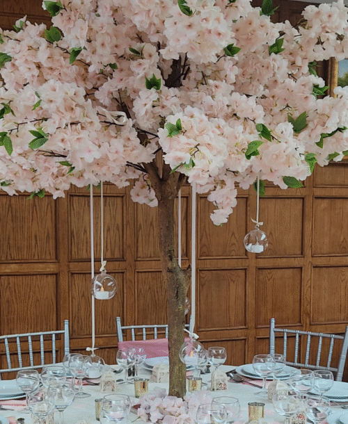 Cherry Blossom Trees - Pink