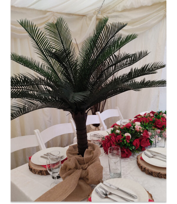 Mini palm tree